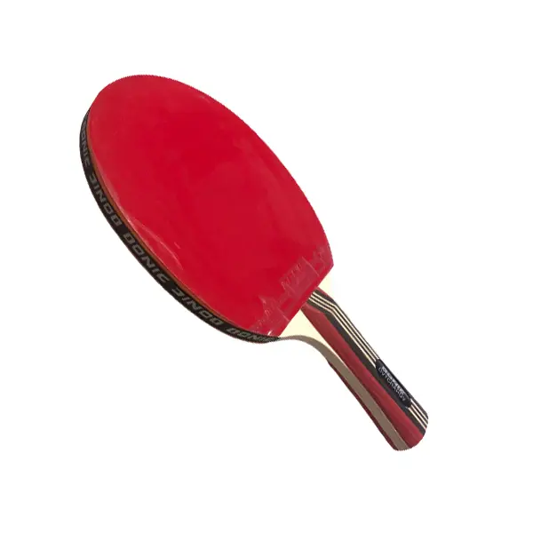 Raquette de Ping Pong DONIC