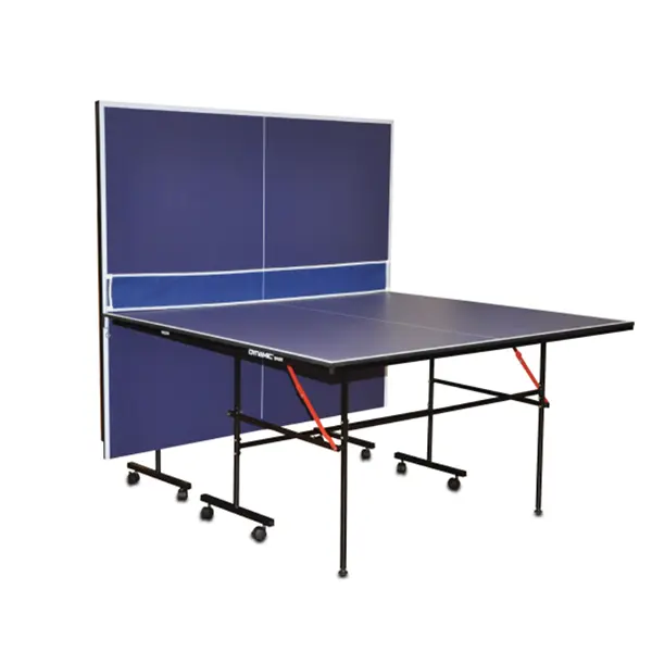 Table de pingpong Dynamic Sport 12 mm INDOOR