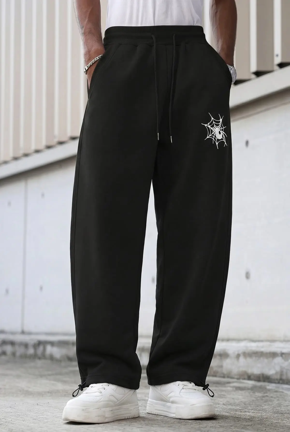 Panta Spider 6