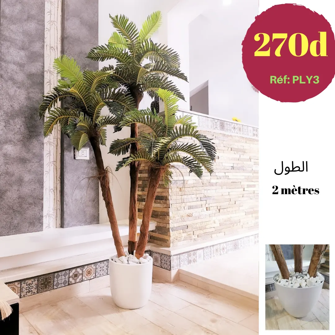 3 Troncs de palmier artificiels avec pot en céramique PLY3