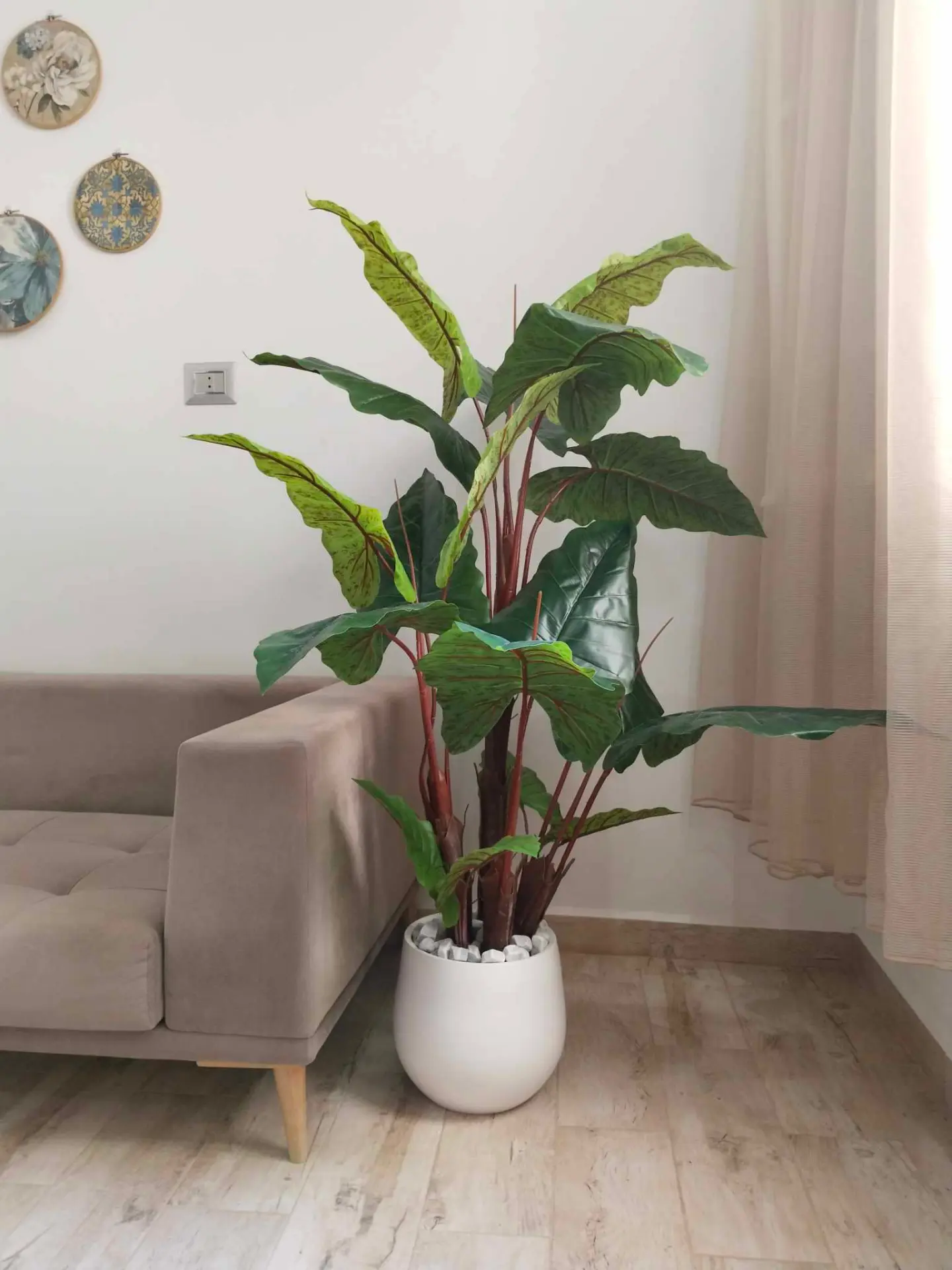 Alocasia artificiel à 3 troncs- plante oreilles d'éléphants – hauteur 1.6m – D56