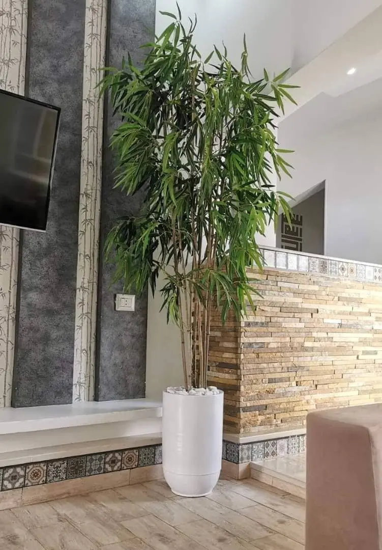 Bambou Géant Semi-artificiel avec pot en céramique et galets PLH118
