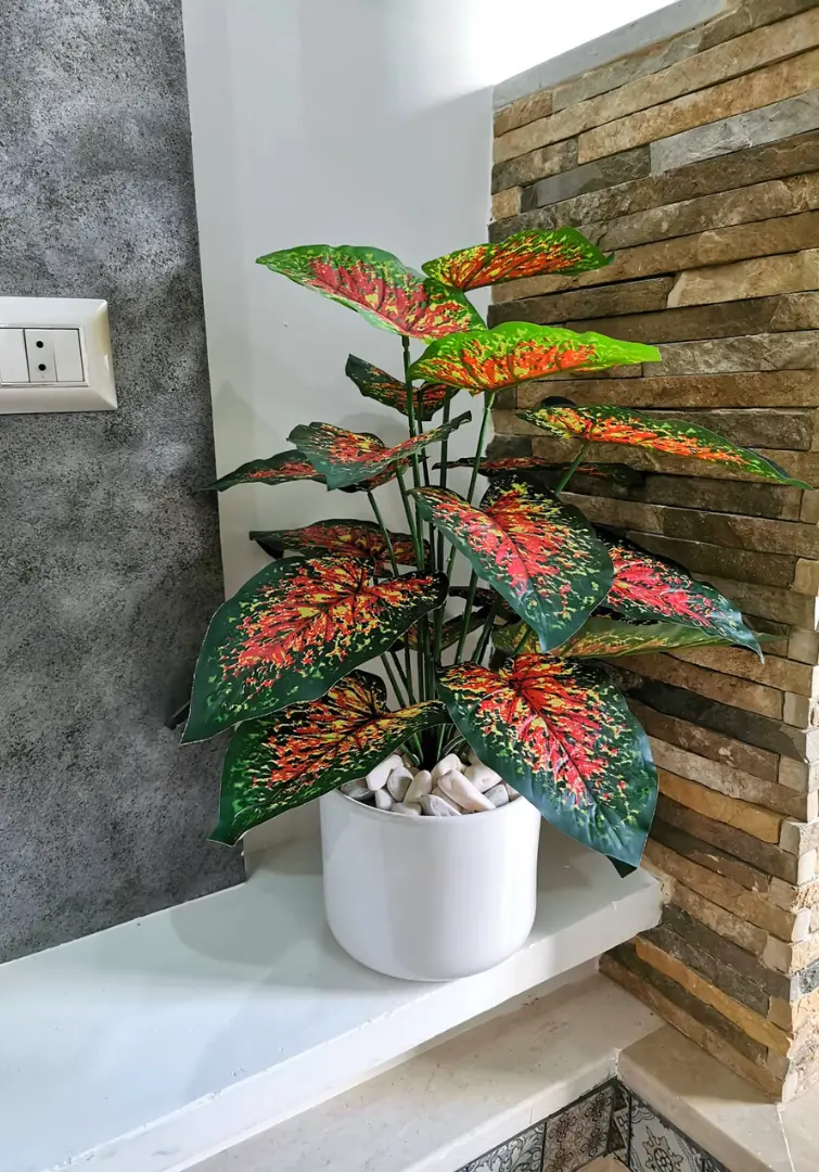 Artificial Caladium with Ceramic Pot B9
