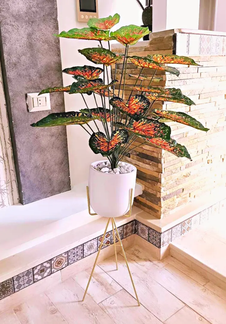 Caladium Artificiel Dans Un Pot En Céramique Avec Support B721
