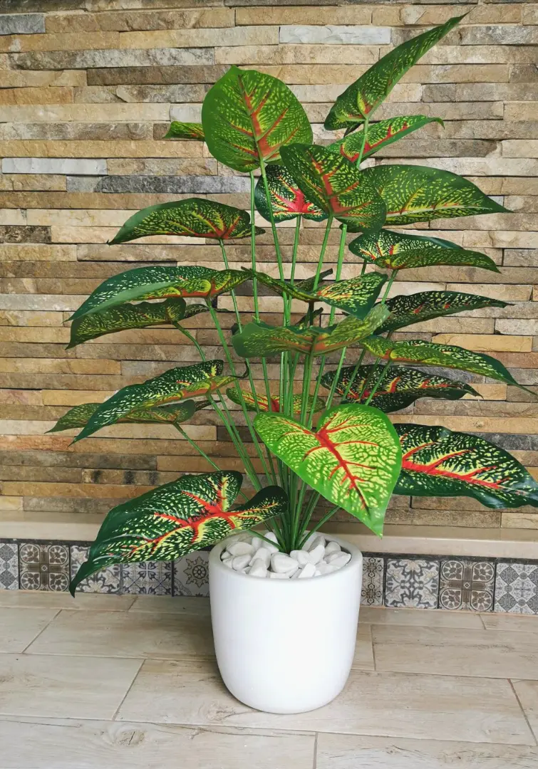 caladium bicolor artificiel dans un pot céramique B717