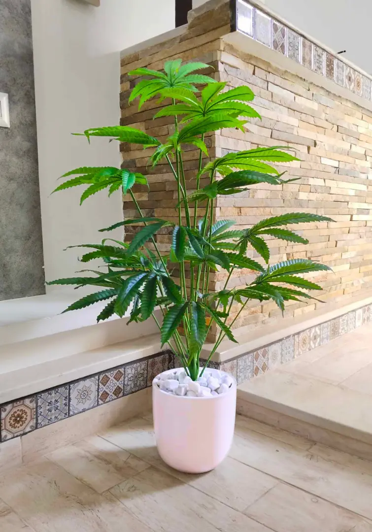 Fatsia japonaise artificielle Dans Un Pot en Céramique X103