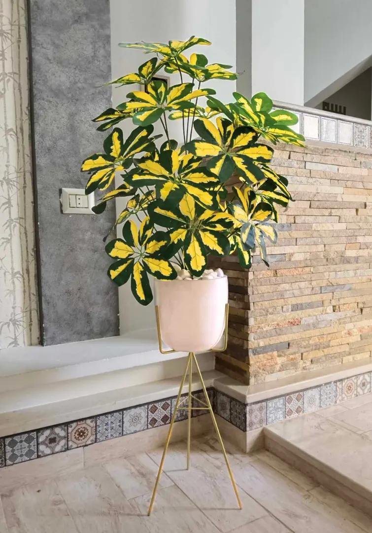 Schefflera arboricola artificiel avec pot en céramique et support X110