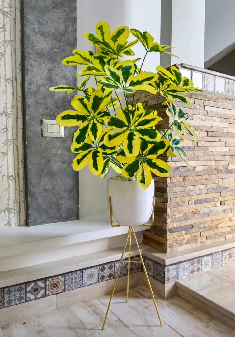 Schefflera arboricola artificiel avec pot en céramique et support X114