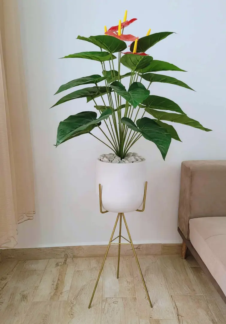 Simulation Anthurium Andraeanum Dans Un Pot En Céramique Avec Support A32