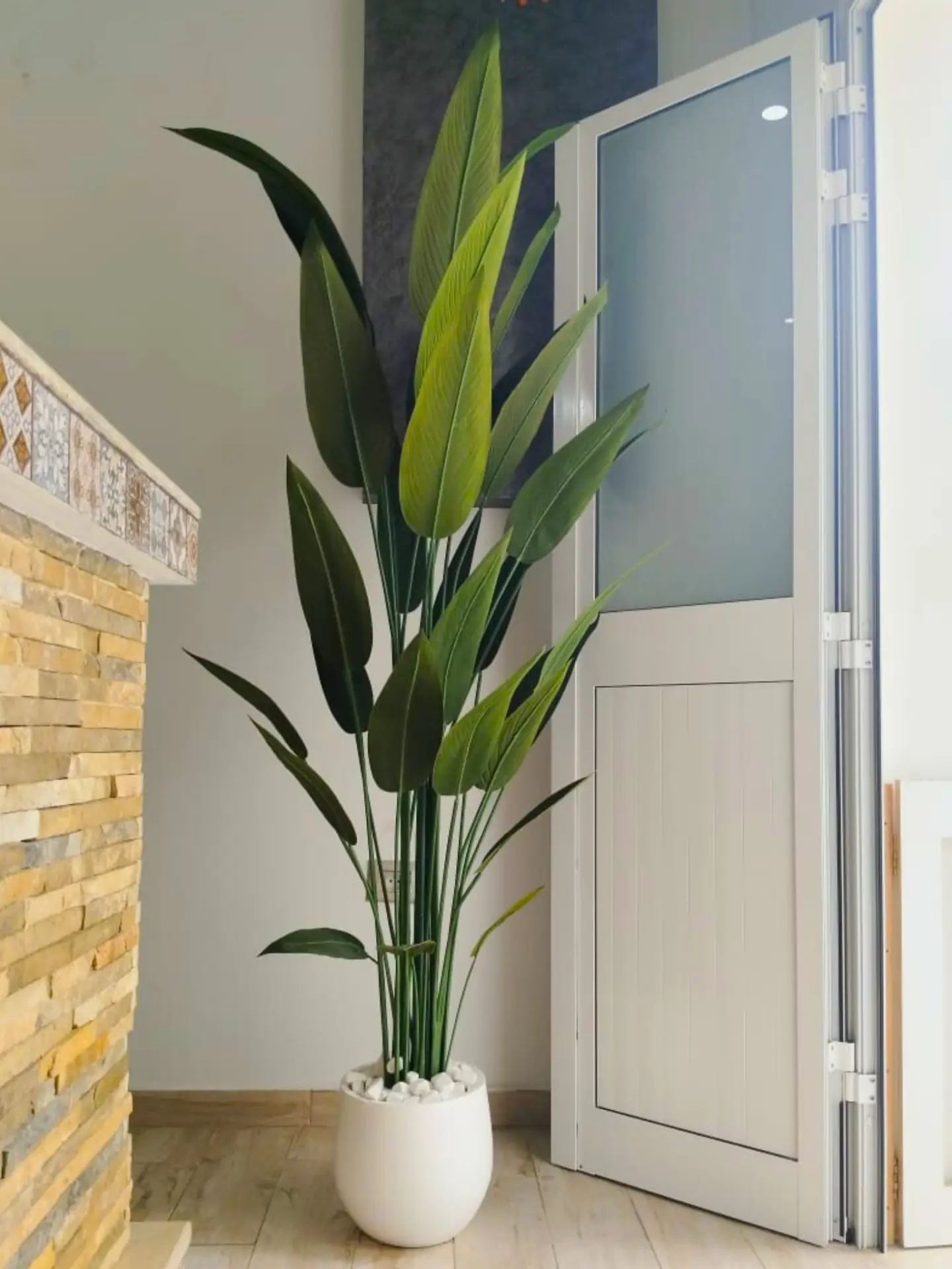 Strelitzia à fines feuilles avec un pot en céramique de hauteur totale de 2.15m – D133
