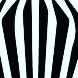 zebra store