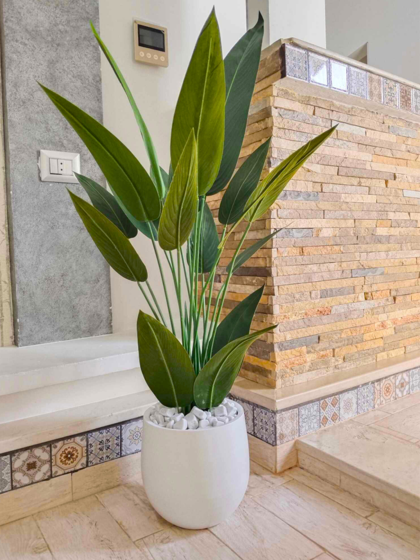 Strelitzia with Fine Leaves (Bird of Paradise) with Ceramic Pot